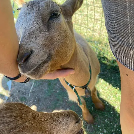 Tenute Murales Srls Готель 2*