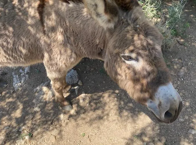 Tenute Murales Srls 2*