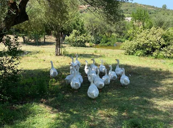 Готель Tenute Murales Srls 2*