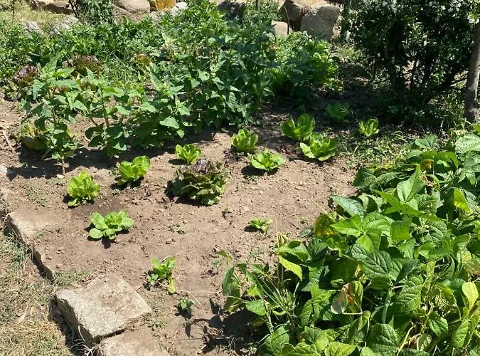 Tenute Murales Srls Hotel Olbia