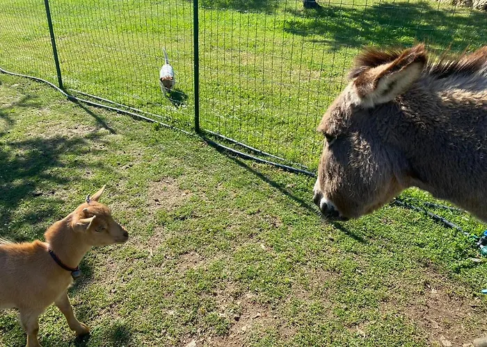 Hotel Tenute Murales Srls 2*