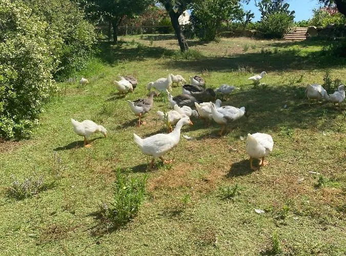 Tenute Murales Srls 2*