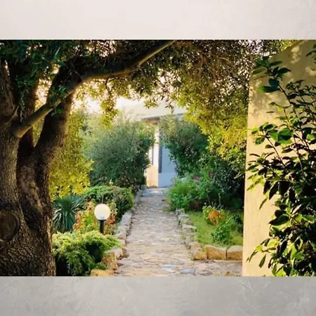 Murales - Turismo Rurale Olbia