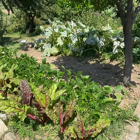 Murales - Turismo Rurale Otel