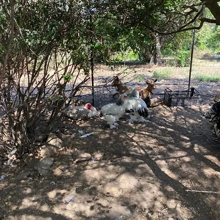 Murales - Turismo Rurale Otel 2*