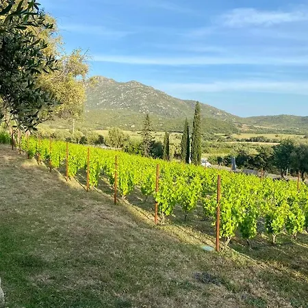 Murales - Turismo Rurale