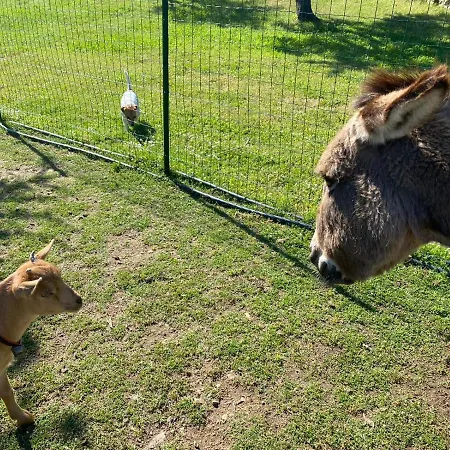 Hotel Tenute Murales Srls 2*