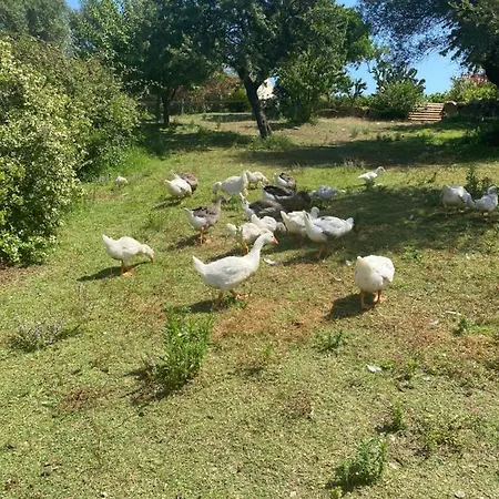 Murales - Turismo Rurale 2*