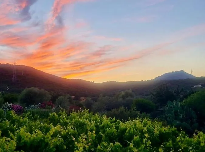 Tenute Murales Srls فندق 2*