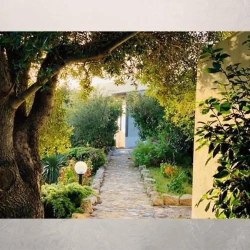 Tenute Murales Srls Olbia