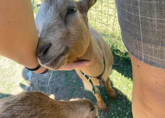 Tenute Murales Srls Hotel 2*