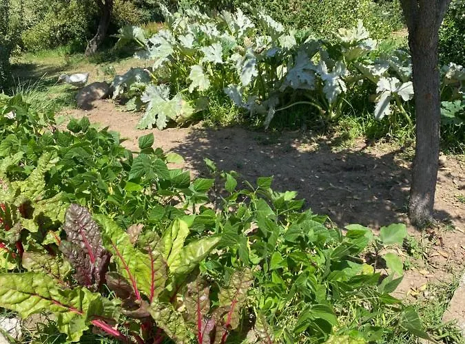 Tenute Murales Srls Hotel