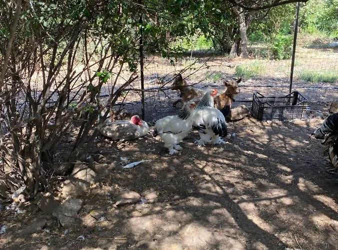 Tenute Murales Srls فندق 2*